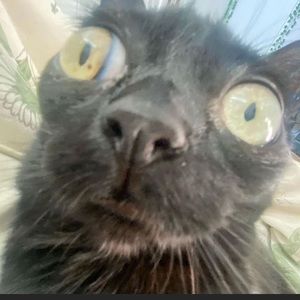 Meet your Posher, Leobardo